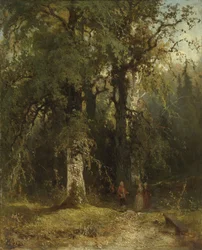 Uitzicht in het bos